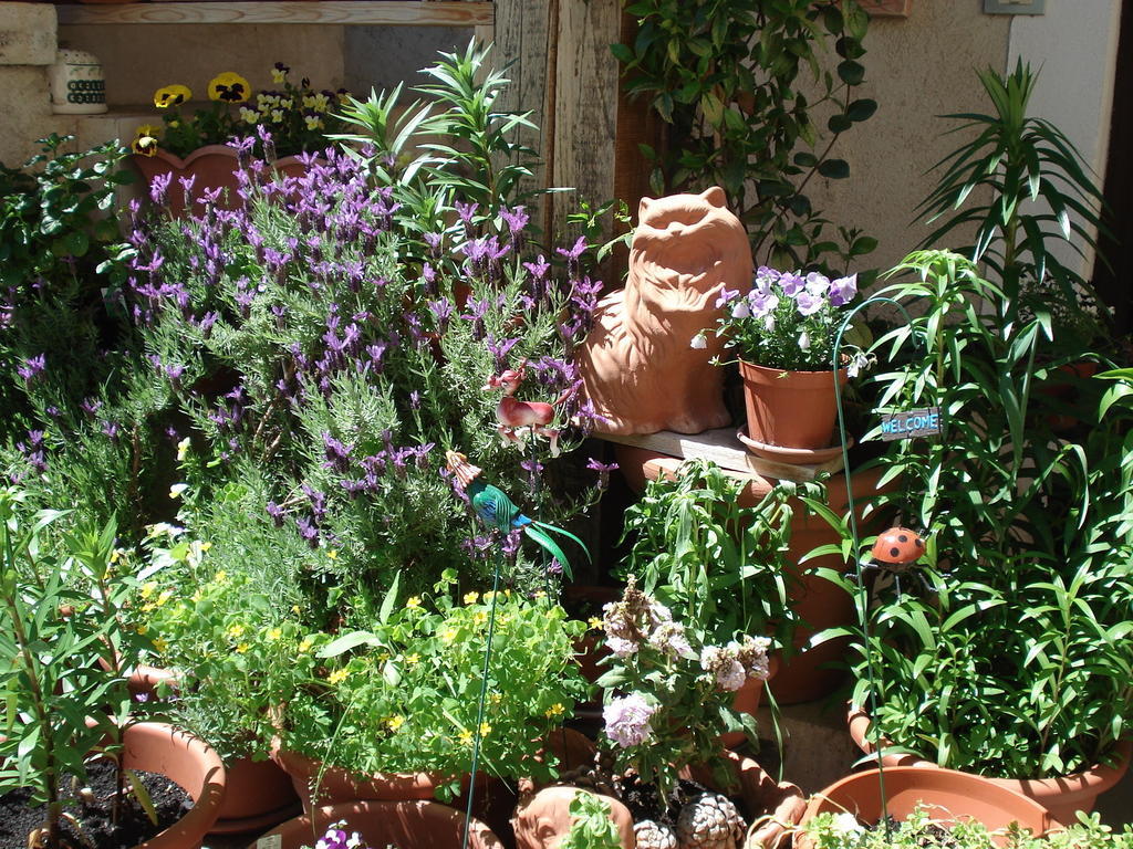 Abruzzo Segreto Bed & Breakfast Navelli Dış mekan fotoğraf